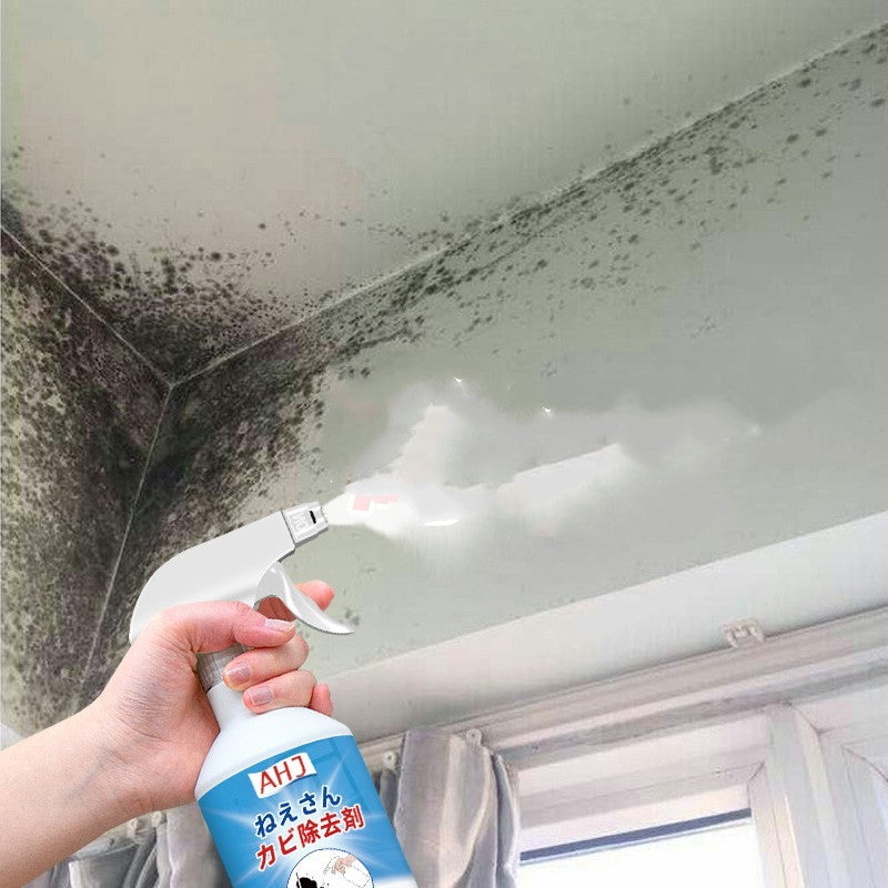 Wandreiniger-Spray zur Schimmelentfernung