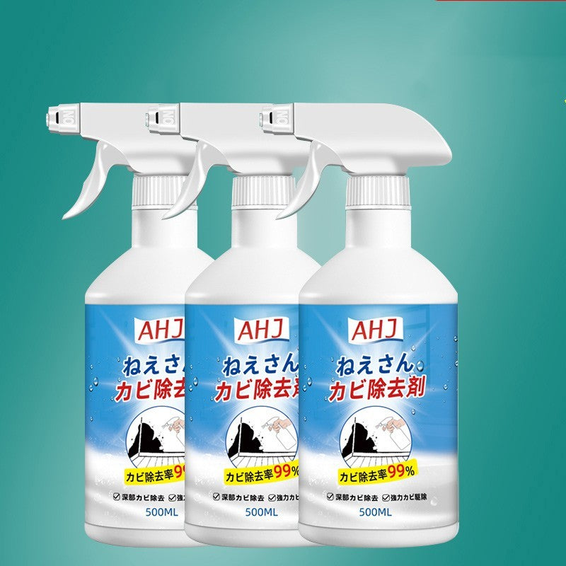 Wandreiniger-Spray zur Schimmelentfernung