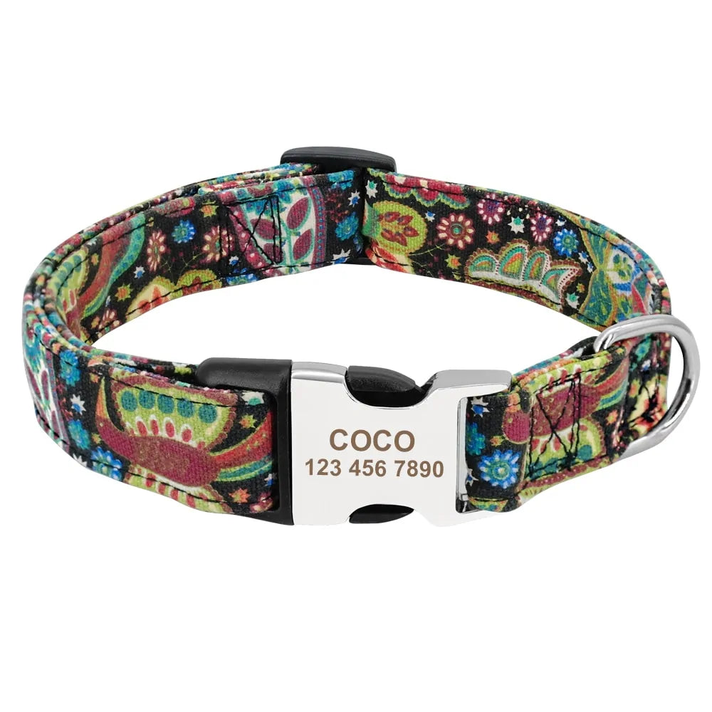Collar de etiqueta de perro ajustable