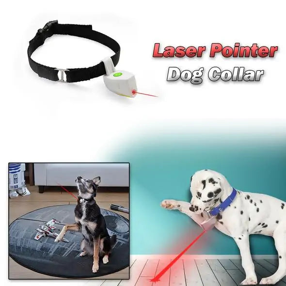 Laser Pointer  Pet Collar