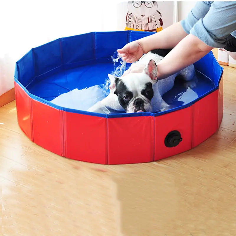 Piscina plegable para perros