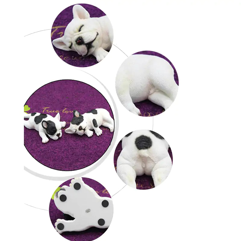 Accesorios interiores para mascotas