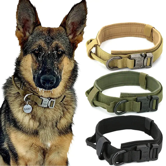 Collar de perro