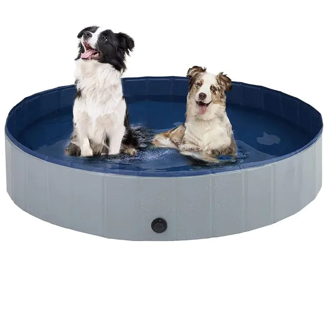 Piscina plegable para perros