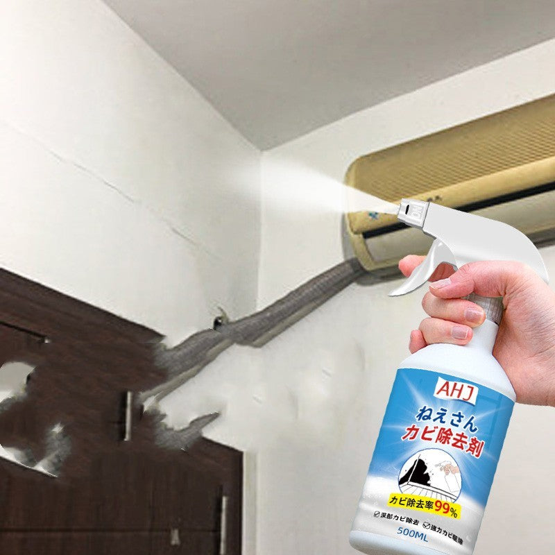Wandreiniger-Spray zur Schimmelentfernung