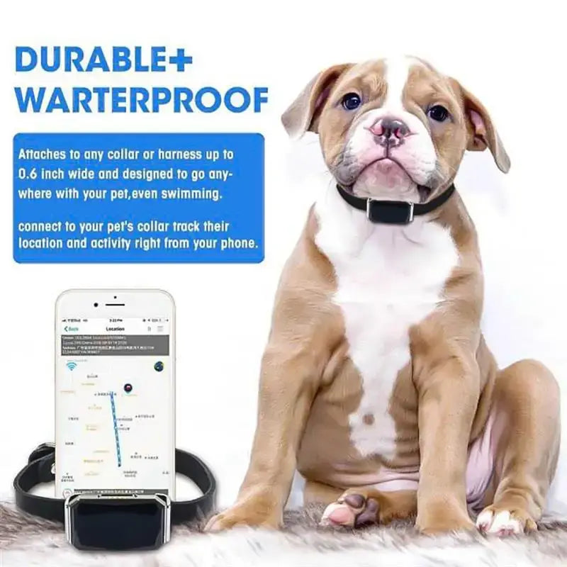 Smart Waterproof Pet Locator Collar