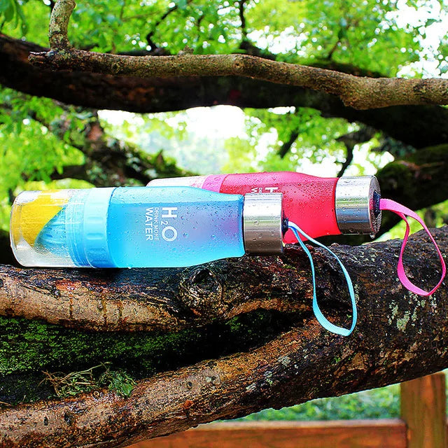 Botella de agua de infusión de frutas