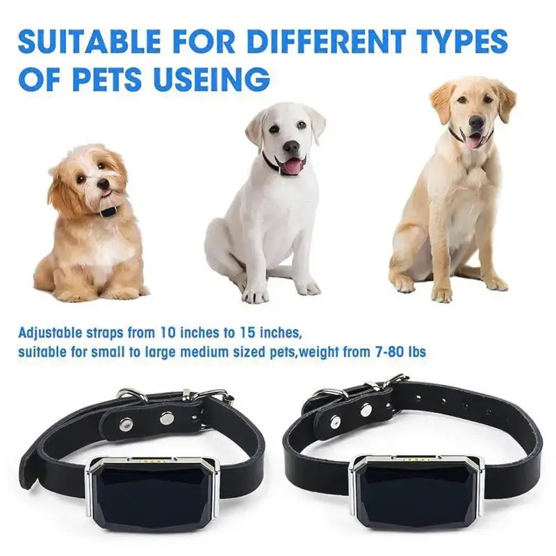 Smart Waterproof Pet Locator Collar
