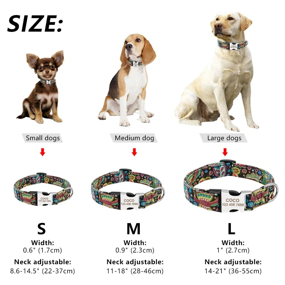 Collar de etiqueta de perro ajustable