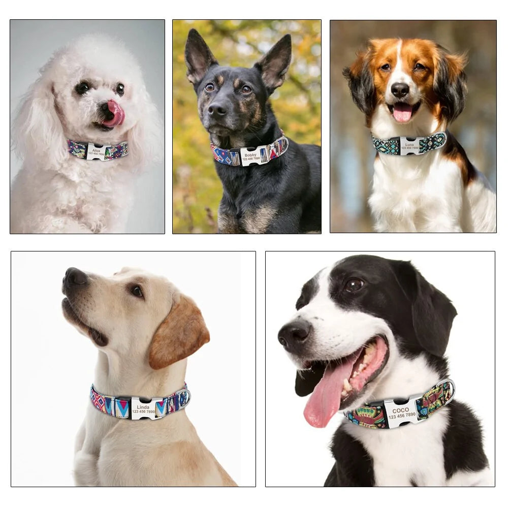 Collar de etiqueta de perro ajustable