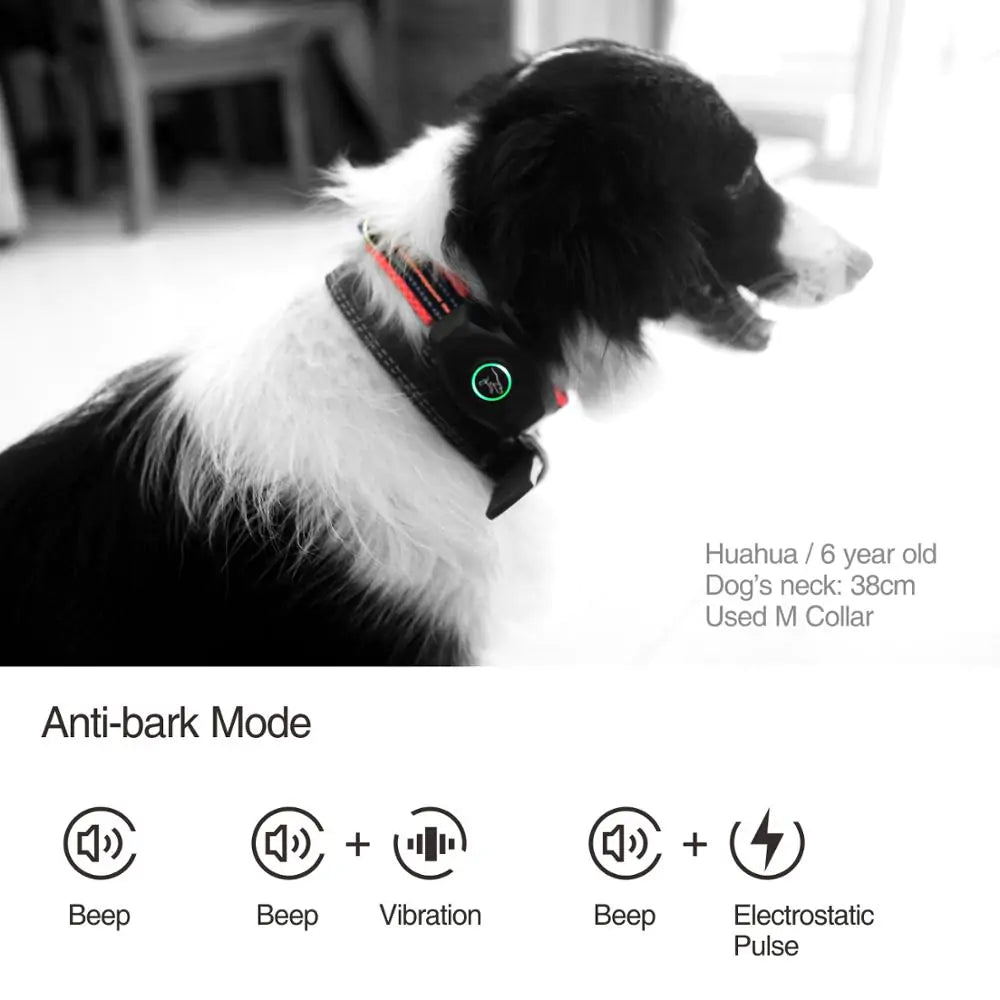 Remote Dog Bark & Training Collar