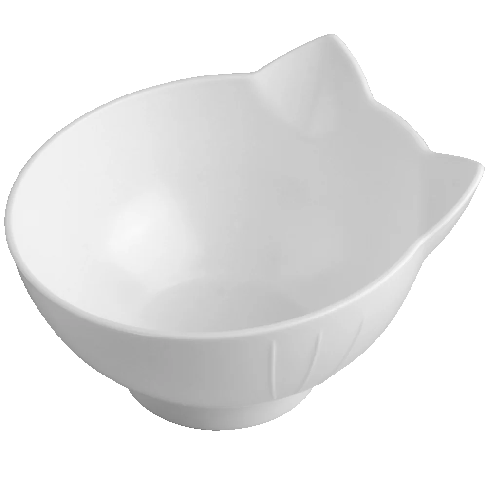 Double Cat Bowl With Raised Stand