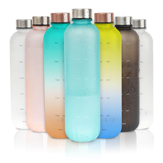 Frosted Gradient Sports Water Bottle