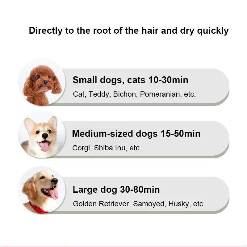 2-in-1 Portable Pet Grooming Dryer and Comb