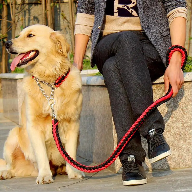 Juego de correa elegante y duradera para perros grandes