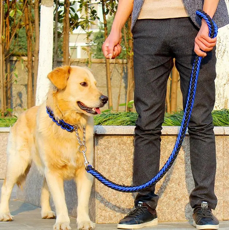 Juego de correa elegante y duradera para perros grandes