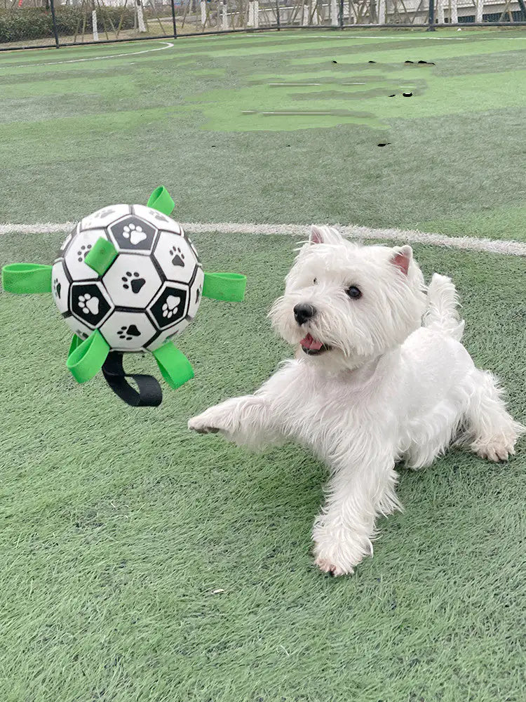 Juguetes de fútbol para perros