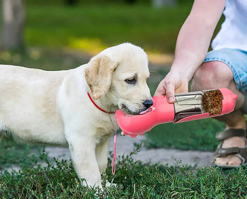 Comedero para mascotas