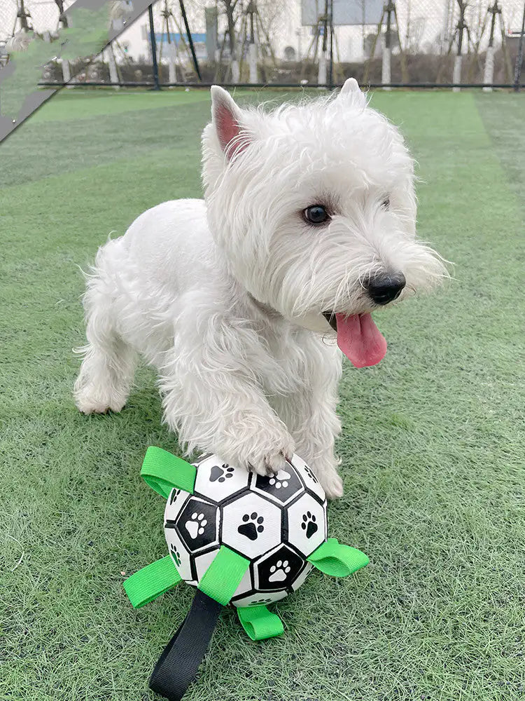 Juguetes de fútbol para perros