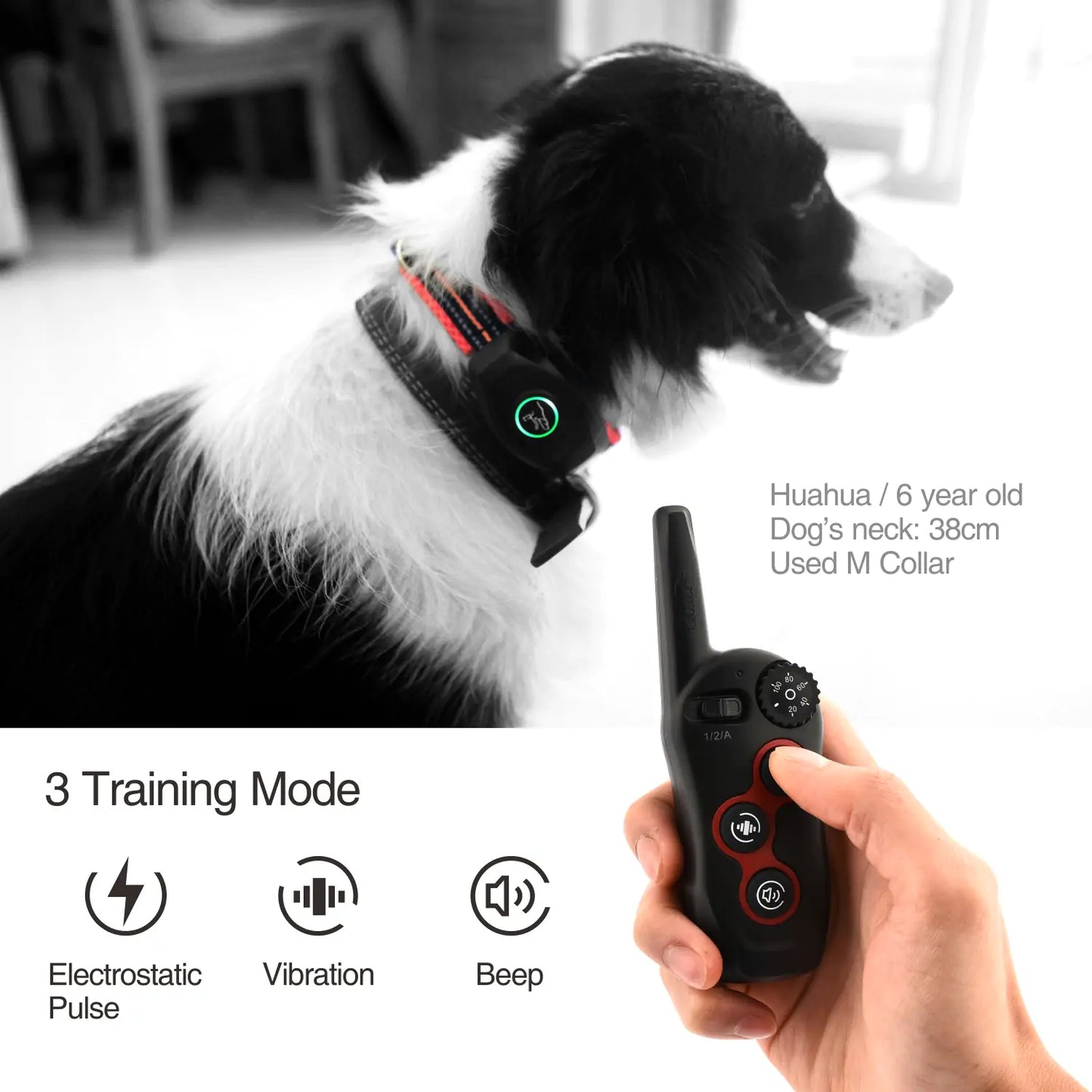 Remote Dog Bark & Training Collar