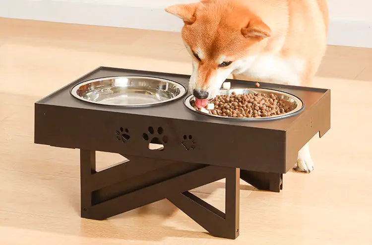 Adjustable Height Double-Bowl Pet feedingTable