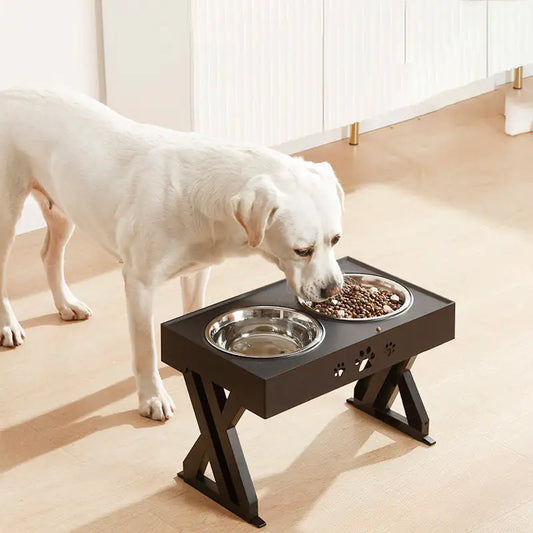 Adjustable Height Double-Bowl Pet feedingTable