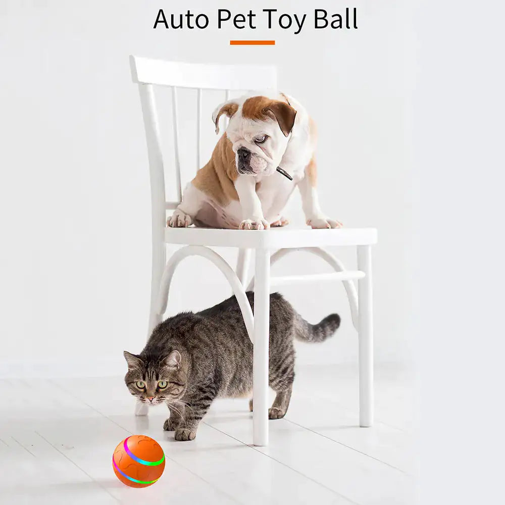 Interactive Pet Smart Ball Toy