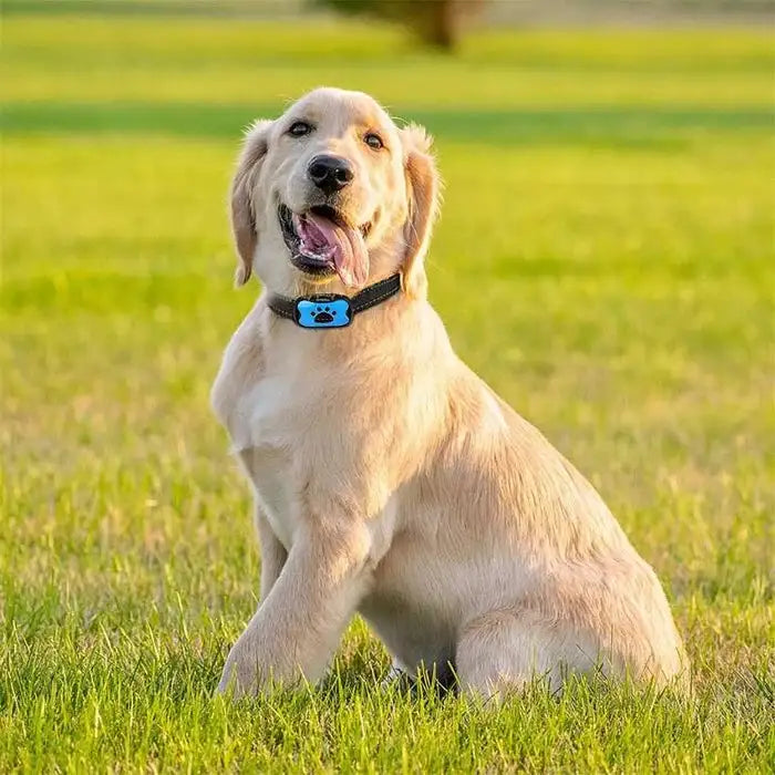 Collar para perros antiladridos