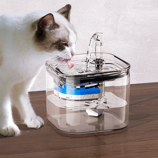 Dispensador automático de agua para gatos