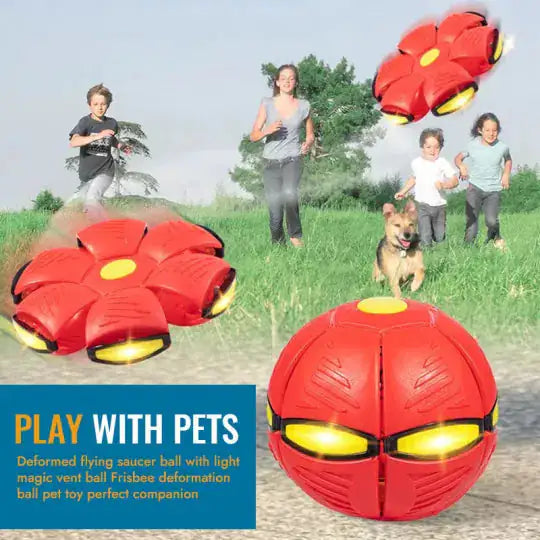 Flying Saucer Ball Pet Toy