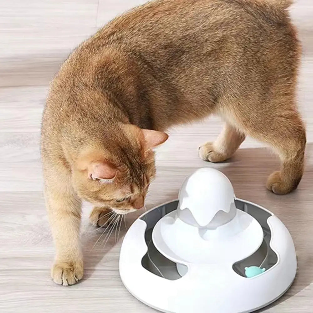 Pet Cat Toy  and  Feeding Plate