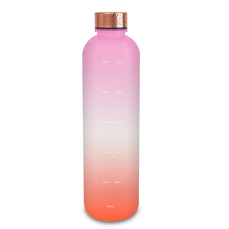 Frosted Gradient Sports Water Bottle