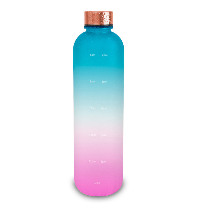 Frosted Gradient Sports Water Bottle