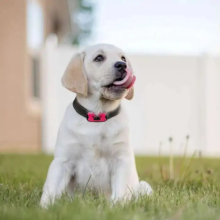 Collar para perros antiladridos