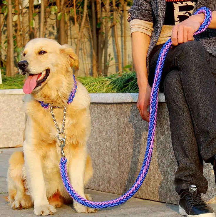 Juego de correa elegante y duradera para perros grandes