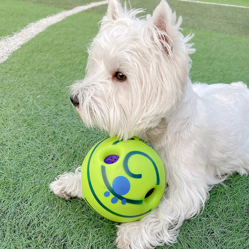 Juguetes de fútbol para perros