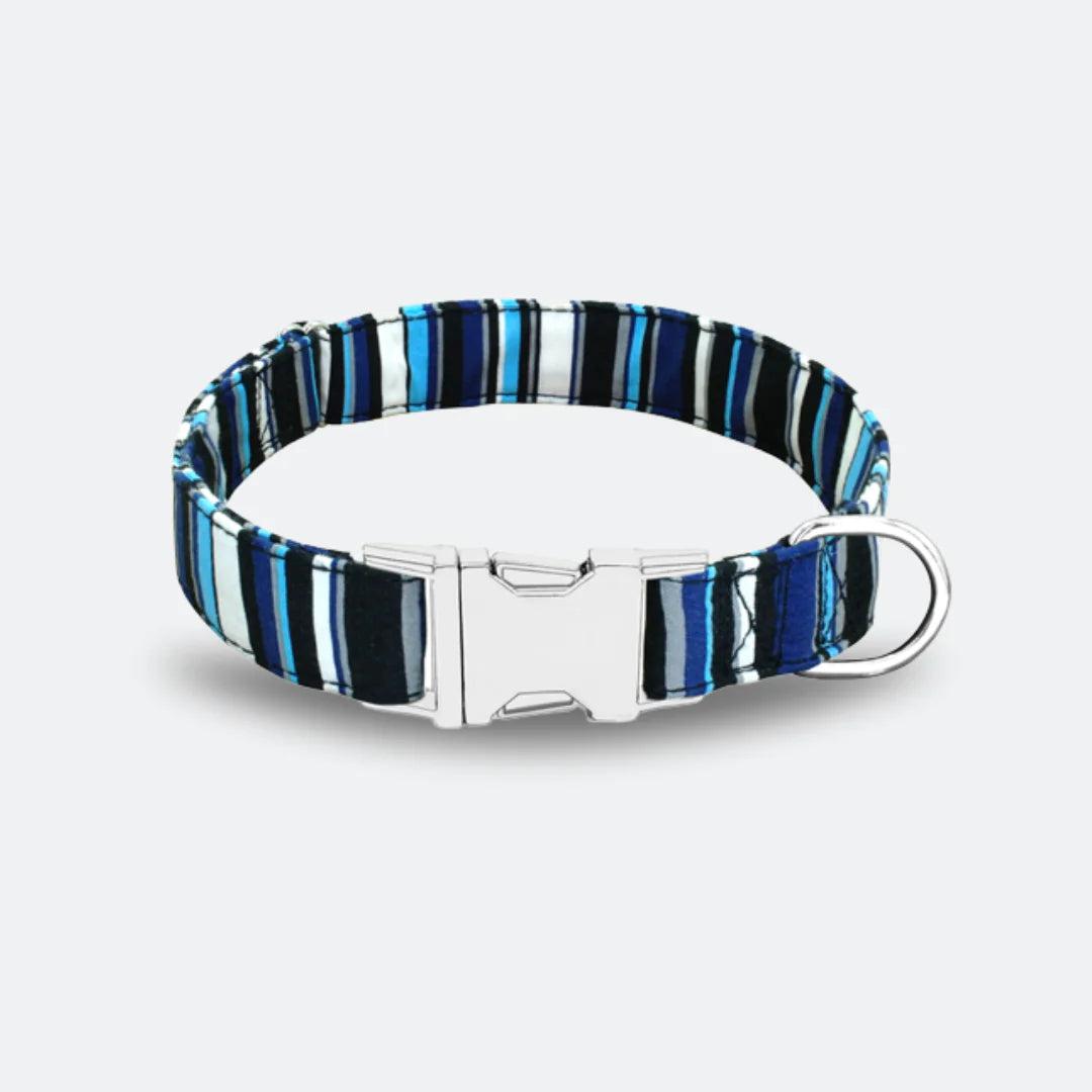 Collar de perro personalizado