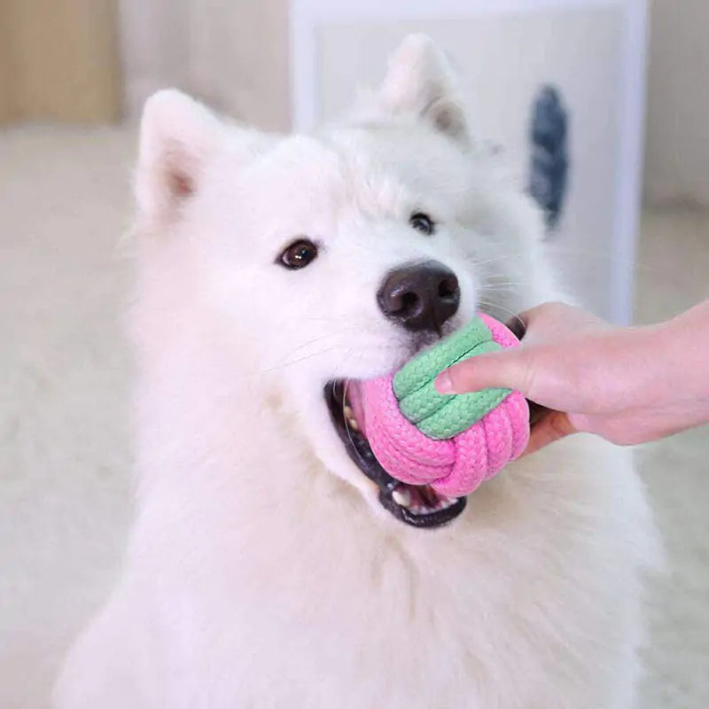 Juguetes para masticar para perros