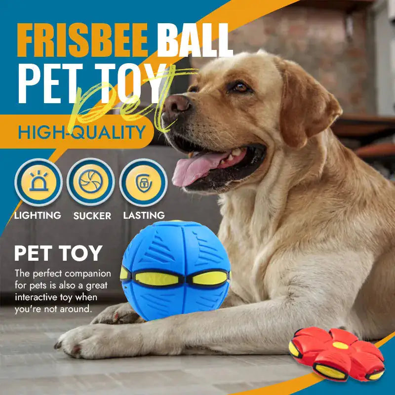 Flying Saucer Ball Pet Toy